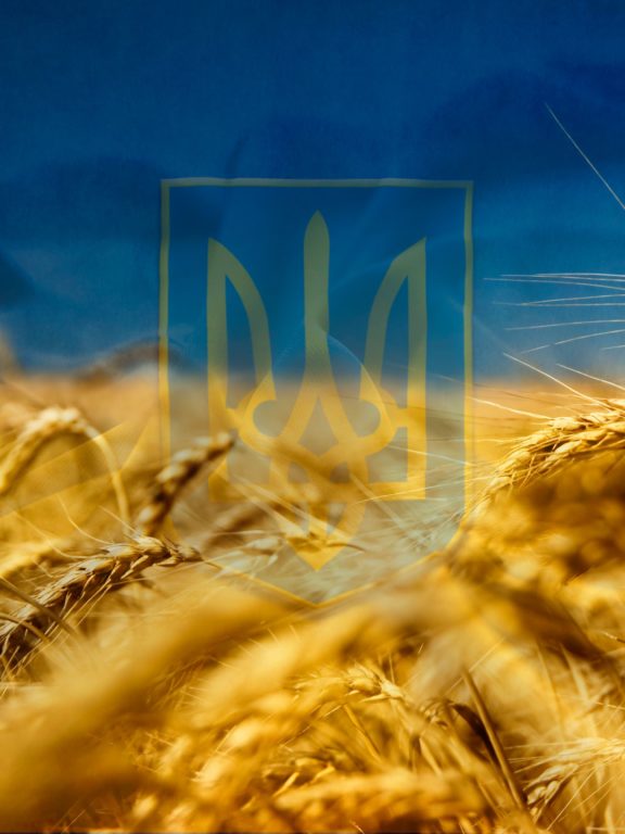 СМС привітання з Днем Незалежності України у прозі, українською мовою