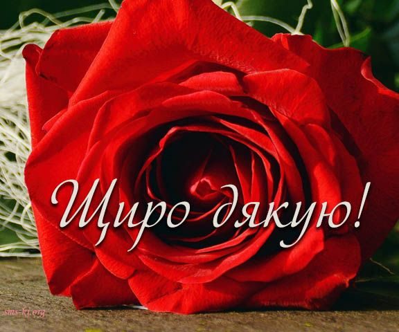 СМС слова дякую за привітання з днем народження у прозі, українською мовою